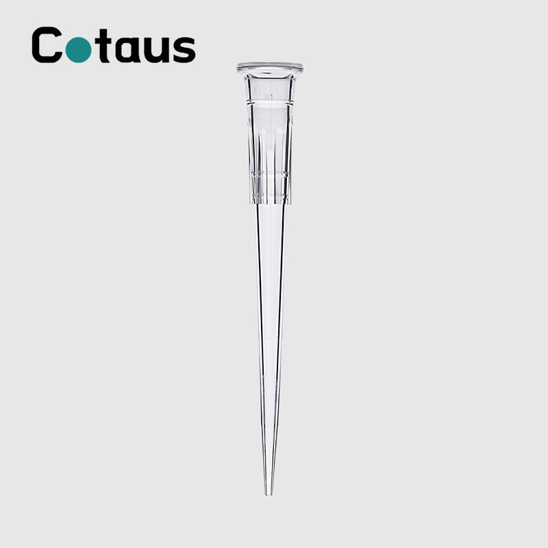 Ujung Pipet Universal 10Î¼l